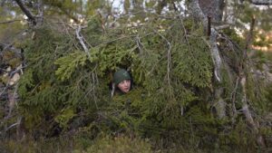 Το τραγούδι του δάσους