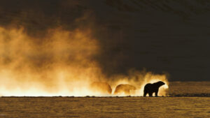 Προτάσεις για ταινίες