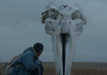 61ο ΦΕΣΤΙΒΑΛ ΚΙΝΗΜΑΤΟΓΡΑΦΟΥ ΘΕΣΣΑΛΟΝΙΚΗΣ: ΠΡΩΤΗ ΑΝΤΑΠΟΚΡΙΣΗ