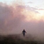 Ανάμεσα στις καλαμιές