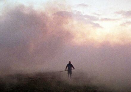 Ανάμεσα στις καλαμιές