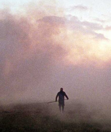 Ανάμεσα στις καλαμιές