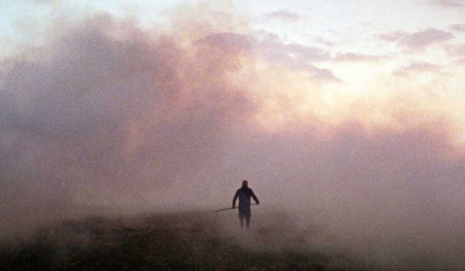 Ανάμεσα στις καλαμιές