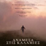 ΓΥΝΑΙΚΕΣ ΕΞΩ