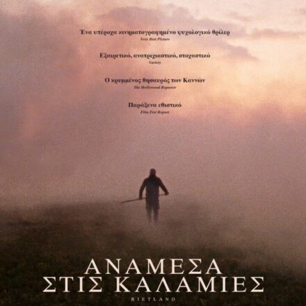 ΑΝΑΜΕΣΑ ΣΤΙΣ ΚΑΛΑΜΙΕΣ