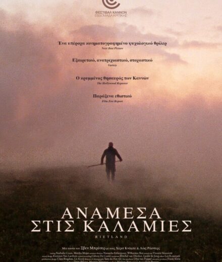 ΑΝΑΜΕΣΑ ΣΤΙΣ ΚΑΛΑΜΙΕΣ