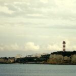 Το μυστικό του δάσους