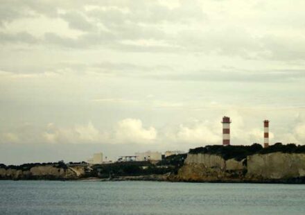 Το μυστικό του δάσους