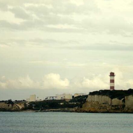 Το μυστικό του δάσους