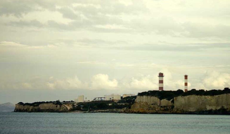 Το μυστικό του δάσους