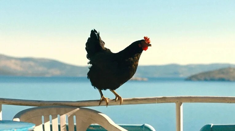 Κότα